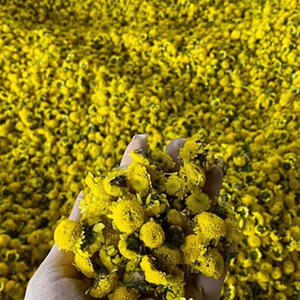 Prix de liquidation Fleurs de camomille séchées Matière première naturelle Boîte de 250g Marque privée Fournisseur B2B Commerce Vietnamien - Product Image 6