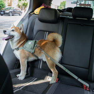 Reflective Dog <b>Car</b> Restraint Leash with Adjustable Buffer and LATCH <b>Hook</b> for Auto Safety - Product Image 2