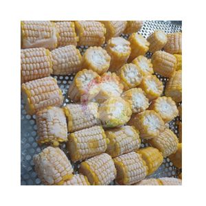 ข้าวโพดหวาน IQF สำหรับส่งออก คุณภาพสูง ราคาถูก ข้าวโพดหวานต้มสุกทั้งเมล็ด มีแกนกลาง 1 ชิ้น 2 ชิ้น 1 กก./แพ็ค ตามคำขอของผู้ซื้อ - Product Image 2