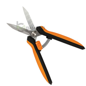 Cisaille à pieds en acier inoxydable, meilleur matériau, outils vétérinaires, cisaille à pieds - Product Image 2