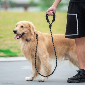 Collier d'entraînement pour animaux de compagnie en nylon durable avec ruban et rivets en cristal pour grands chiens - Style simple, utilisable toute l'année - Product Image 5