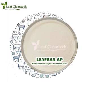 Enzima de Alfa amilasa bacteriana para alimentación animal-Digestión de almidón-Mejora de la salud intestinal de la India | Enzimas de alimentación animal | - Product Image 2