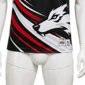 เสื้อทีม AFL แบบกำหนดเอง พร้อมโลโก้ ชื่อทีม และหมายเลข ระบายอากาศได้ดี สำหรับทุกเพศ พิมพ์ลายแบบ Sublimation เต็มตัว รับผลิตแบบ OEM ODM จากโรงงานโดยตรง 100% - Product Image 4