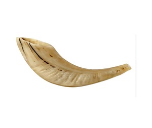 Shofar authentique traditionnel en corne de bélier, fait main, forme personnalisée, en matériaux écologiques et biologiques, pour les fêtes juives et la maison - Product Image 4