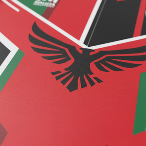 Maillot de foot personnalisé Palestine, tissu performant, maillot de football sublimé, maillot de l'équipe nationale palestinienne pour adulte - Product Image 5