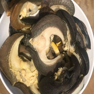 Frozen African Snail Vacuum Pack 5-8cm <b>Shell</b> Cleaned Ready Cooking Rich Protein Traditional Delicacy Fast Delivery Buy Premium - Product Image 4