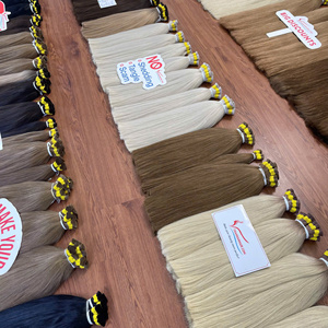 Extensions de cheveux naturels lisses en vrac, vente chaude 2025, 100% cheveux humains vietnamiens, très soyeux, sans nœuds, disponibles en grande quantité - Product Image 6