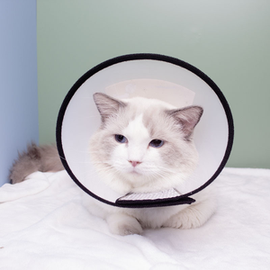 High Quality PU Plastic Cat E-<b>collar</b> Cute Solid Pattern Elizabethan <b>Collar</b> Soft New Protective Cone Recovery for Dogs and Cats - Product Image 1