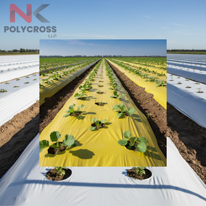 Toile de paillage écologique pour la culture de légumes, fruits et fleurs, toile de paillage pour la protection du sol dans les champs agricoles - Product Image 3