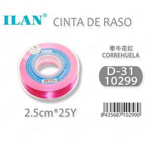Nastro in Raso Ilan 2.5cm 25Y Correhuela D31 - Product Image 3