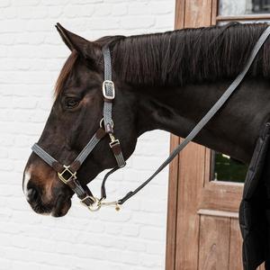 Harnais en nylon pour cheval, conçu sur mesure, pour l'équitation et les courses de chevaux - Product Image 5