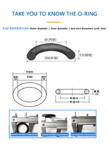 ПТФЭ/ТПУ/ПИ резиновые резервные кольца для гидравлических пневматических уплотнителей - Product Image 5