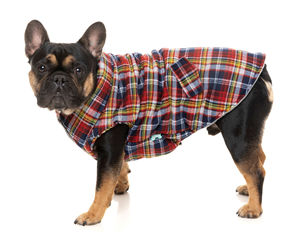 Vêtements pour chiens très demandés, manteaux d'hiver chauds en flanelle, design à carreaux, sans manches, boutonnés - Product Image 5