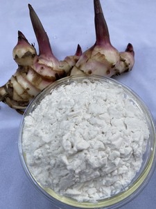 Almidón de arrowroot premium para exportación, ingrediente orgánico natural para uso alimentario, envasado en bolsas, suministro de Vietnam. - Product Image 4