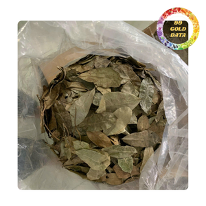 Hojas de Guanábana Secas de Alta Calidad, Ingrediente Natural para Té de Hierbas, Suministro a Granel - Product Image 5