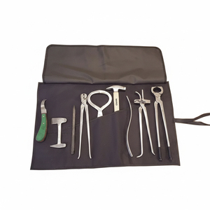 Kit de Herrador Reutilizable de Grado Veterinario, Juego de Herramientas Profesionales de Acero Inoxidable para Tratamiento Clínico de Abcesos Equinos - Product Image 1