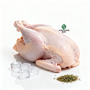 <span class=keywords><strong>Poulet</strong></span> entier congelé halal de qualité supérieure, vente en gros avec <span class=keywords><strong>livraison</strong></span> rapide - Product Image 1