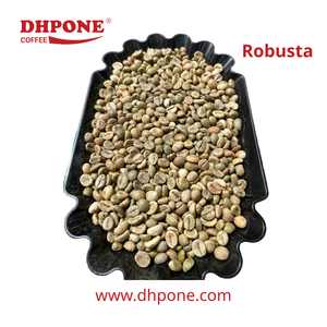 Granos de Café Verde Robusta de Alta Calidad, Certificados ISO/HACCP Vietnamitas, Comercio Justo, Secados al Sol, en Bolsa de Yute de 60 kg - Product Image 1