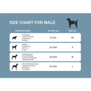 Pañales para Perros HoneyCare (Macho) Extra Pequeño 10 piezas - Product Image 2