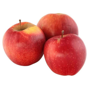 Manzanas dulces y frescas Royal Gala, manzanas frescas Fuji y Red Star, y otras frutas frescas a precio de mayorista al por mayor para exportación. - Product Image 6