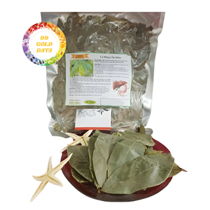Vietnam Dried Soursop Leaves Natural Graviola <b>Tea</b> Leaves Premium Quality Herbal <b>Tea</b> for Import and Retail - Product Image 6