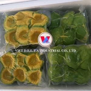 Aguacate Hass IQF Premium |   -18 ° Almacenamiento C |   Duración de vida útil de 12 meses |   Viet Delta - Product Image 2