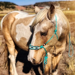 Hot Selling Horse Rope <b>Halter</b> with Custom Design Options horse equipment paracord braided noseband at best price - Product Image 1