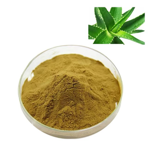 Polvo de Aloe Vera 100% Puro y Natural (Aloe Barbadensis) Polvo de Hoja de Aloe Vera Finamente Molido Para el Cuidado Facial, de la Piel y del Cabello - Product Image 2