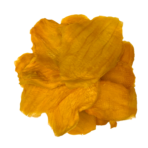 La mangue Doux-séchée aucune couleur jaune de puces de sucre a réhydraté l'utilisation pour faire cuire l'application - Product Image 5