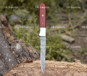 Couteau de chef à lame pleine de 12 pouces en acier Damas forgé à la main de haute qualité, ultra-affûté, avec manche en bois naturel de Padauk rouge, OEM - Product Image 5