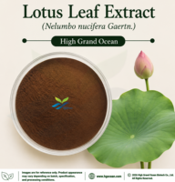 Extrait de feuille de lotus (Nelumbo nucifera Gaertn.) fourni directement par l'usine HGO (Alimentation santé) Rapport 4:1 5:1 10:1 20:1 100:1 200:1