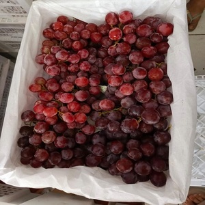 Uvas Frescas de Color Rojo Brillante, Dulzura Natural y Textura Firme, Ideales para Tiendas de Comestibles, Restaurantes, Cafeterías y Vendedores de Frutas - Product Image 2