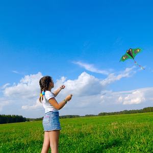 2023 nouveau <span class=keywords><strong>cerf</strong></span>-<span class=keywords><strong>volant</strong></span> animal <span class=keywords><strong>volant</strong></span> extérieur de haute qualité <span class=keywords><strong>cerf</strong></span>-<span class=keywords><strong>volant</strong></span> de chauve-souris réutilisable - Product Image 6