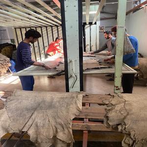 Shorts en cuir de chèvre suédé pour hommes grandes tailles Premium – Taille mi-haute, longueur genou, tricoté, écologique, séchage rapide - Product Image 6