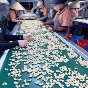 Origin Vietnam Cashew <b>Kernels</b> SANTIGO Cashew <b>Nuts</b> Kaju In Bulk <b>Nuts</b> <b>Kernels</b> - Product Image 5