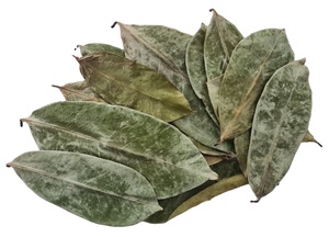Feuilles de corossol vietnamien séchées au soleil, produit botanique naturel, qualité supérieure, soigneusement sélectionnées, propres, aromatiques, qualité export - Product Image 5