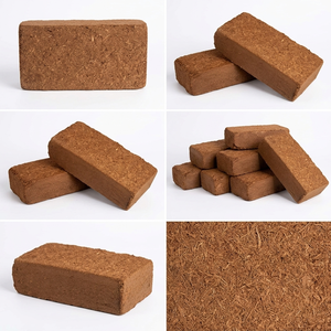 ก้อนมะพร้าวสำหรับเมล็ดขนาดเริ่มต้น-650กรัมสถานรับเลี้ยงเด็กพรุโกโก้เกรดส่งออก - Product Image 2