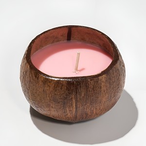 Low cost natural coconut shell <b>candles</b> best seller decorative table centerpiece coco bowl <b>candle</b> - Product Image 1