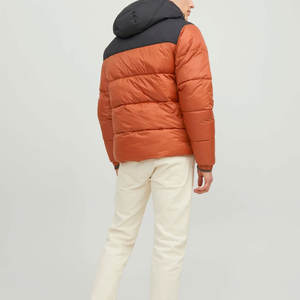 Chaqueta Acolchada con Capucha de Último Diseño OEM para Hombre, Logotipo Personalizado, Informal, Impermeable, Transpirable, Ropa de Calle para Invierno - Product Image 3