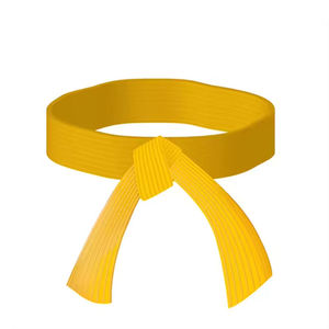 Ceintures d'arts martiaux personnalisées OEM, broderie de haute qualité, ceintures de karaté, ceintures de BJJ pour hommes, toutes tailles, toutes couleurs, ceintures de taekwondo, judo, faible MOQ. - Product Image 5