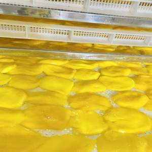 Authentic Vietnam Golden Mango Strips with Tropical Sweetness and Soft <b>Chewy</b> Bite - Product Image 3