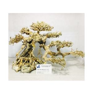 Bois flotté pour aquarium, bois de dérive pour reptiles, décoration de paysage aquatique, bois pour aquarium, décoration de réservoir à poissons en provenance du Vietnam pour les grossistes - Product Image 5