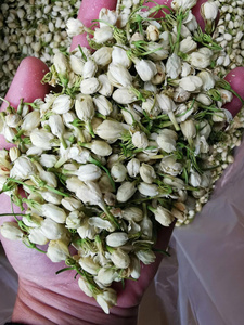 ชาดอกมะลิแห้งเวียดนาม ทำจากดอกมะลิทั้งดอกคัดสรรพิเศษ สำหรับชงเครื่องดื่ม ขายส่ง ขายปลีก รับผลิตแบรนด์ส่วนตัว - Product Image 2