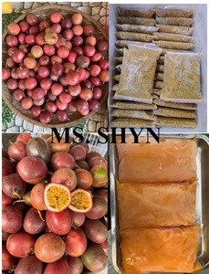 Pâte de fruit de la passion congelée en vrac Prix compétitif-Purée de fruit de la passion congelée naturelle-Sans additifs 100% -Ms. Shyn - Product Image 2