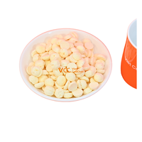 Gefreeze-droogde mango-yoghurt smeltjes FD Probiotische Snack |   100% Pure Echt Fruit Gezonde Knapperige Brokjes Non-GMO HACCP/GlobalG.A.P.