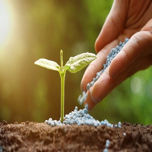 High Quality Granular Urea 46 N46 Nitrogen <b>Fertilizer</b> 2 Year Shelf Life Wholesale Per Ton Price Manufacturers - Product Image 2