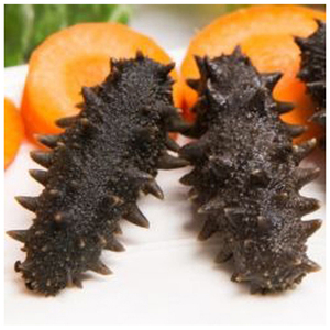 Pepino de mar seco a precio competitivo - Product Image 5