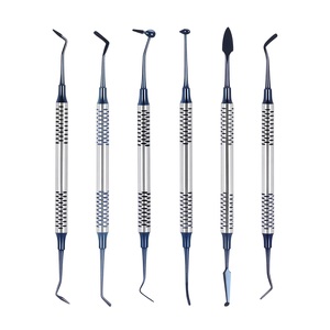 Juego de Instrumentos Dentales para Rellenos de Composite, Kit de Herramientas Dentales Restauradoras de Acero Inoxidable para Colocación y Modelado de Composite - Product Image 1