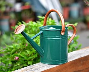 Arrosoir vintage en métal vert avec poignées en cuivre, pommeau de douche, pot à eau classique en acier galvanisé pour plantes d'intérieur et d'extérieur - Product Image 4