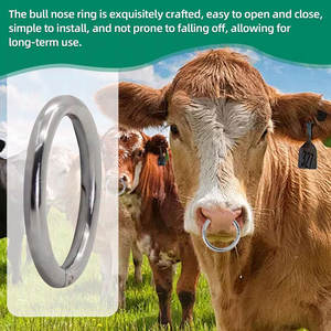 Anillo nasal de latón dorado para toros, autoproporcionable, de alta resistencia, con tornillo de liberación rápida, para ganado y suministros de manejo de animales. - Product Image 5